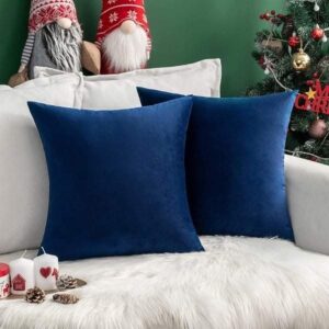 Coussin Bleu