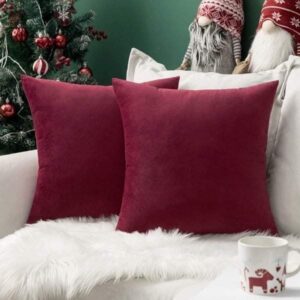 Coussin Rouge Bordeaux