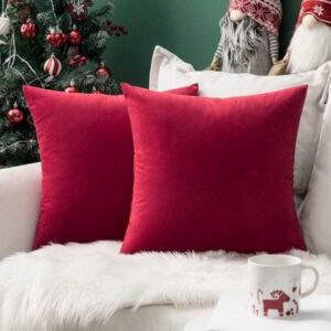 Coussin Rouge