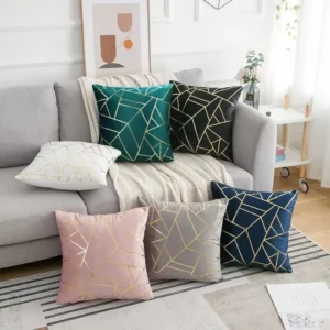 coussin de décoration