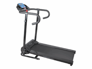 Bench Press